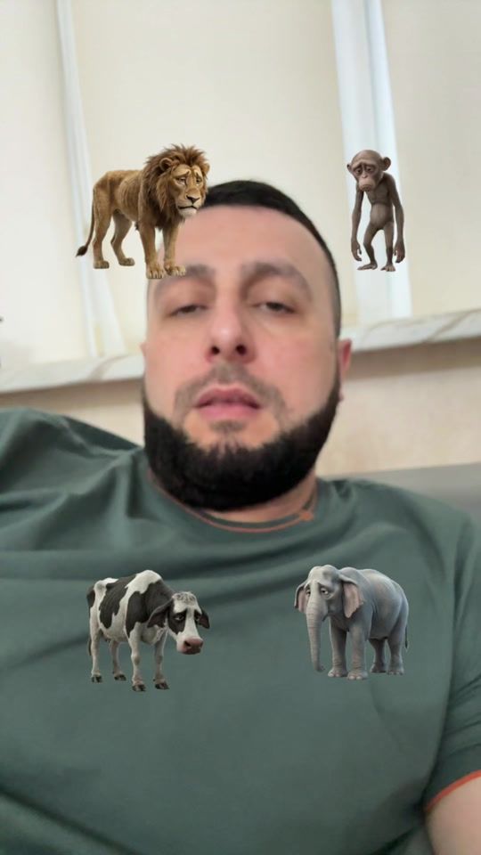 TikTok video thumbnail by muradgunibsky