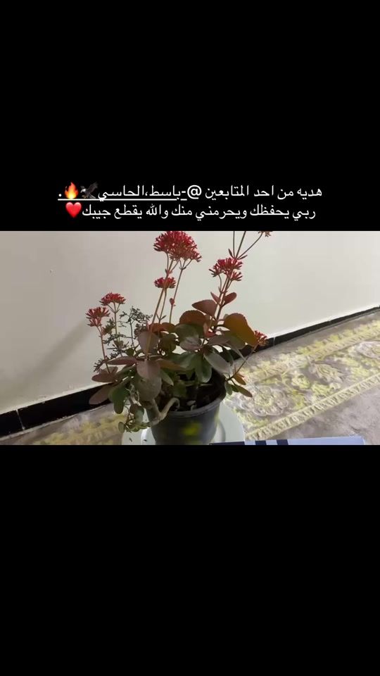 TikTok video thumbnail by z_7.xo