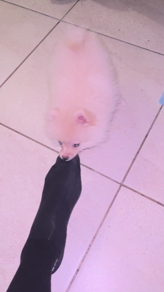 TikTok video thumbnail by mydarly4