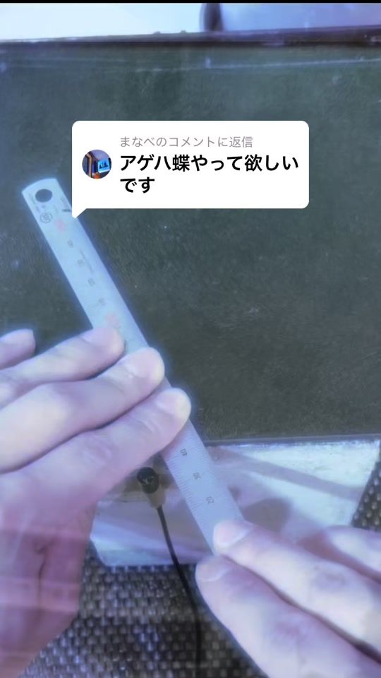 TikTok video thumbnail by kame_mono