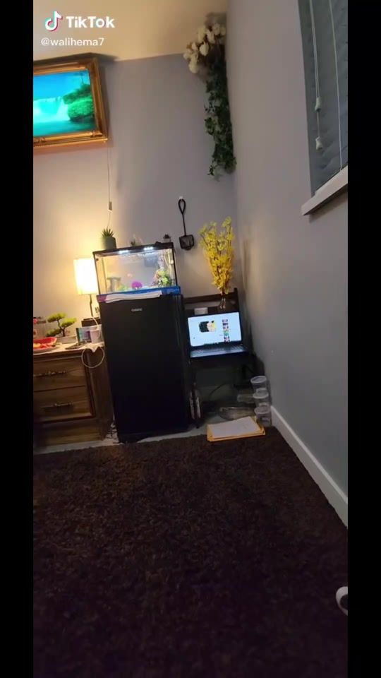 TikTok video thumbnail by 0_onothing