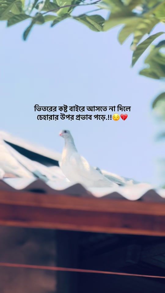 TikTok video thumbnail by rl.rifat.143