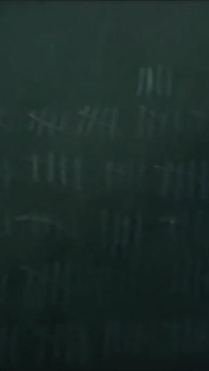 TikTok video thumbnail by maddoc.aep
