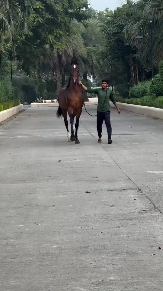 TikTok video thumbnail by tari.bahrain