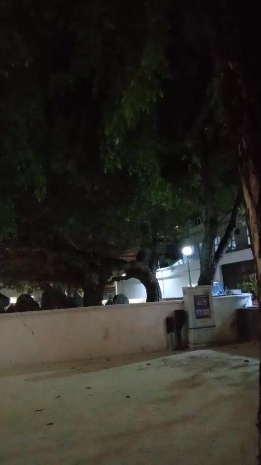 TikTok video thumbnail by pervinakther86