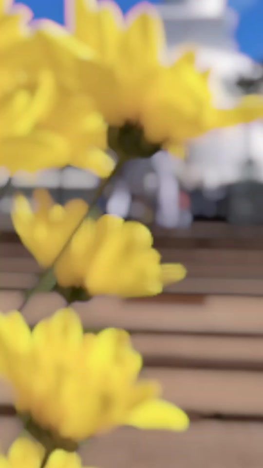 TikTok video thumbnail by ishi..1