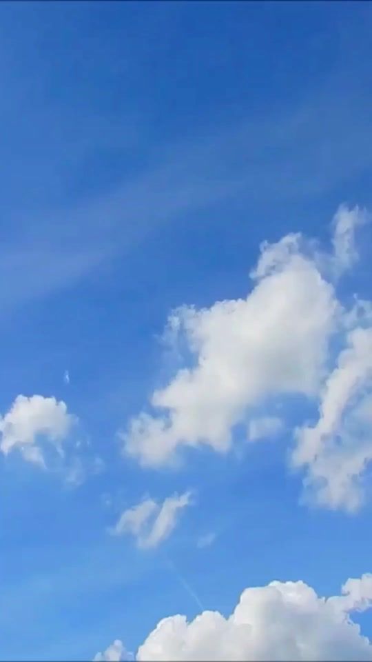 TikTok video thumbnail by dhammasparknotes