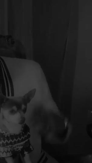 TikTok video thumbnail by anndyxr