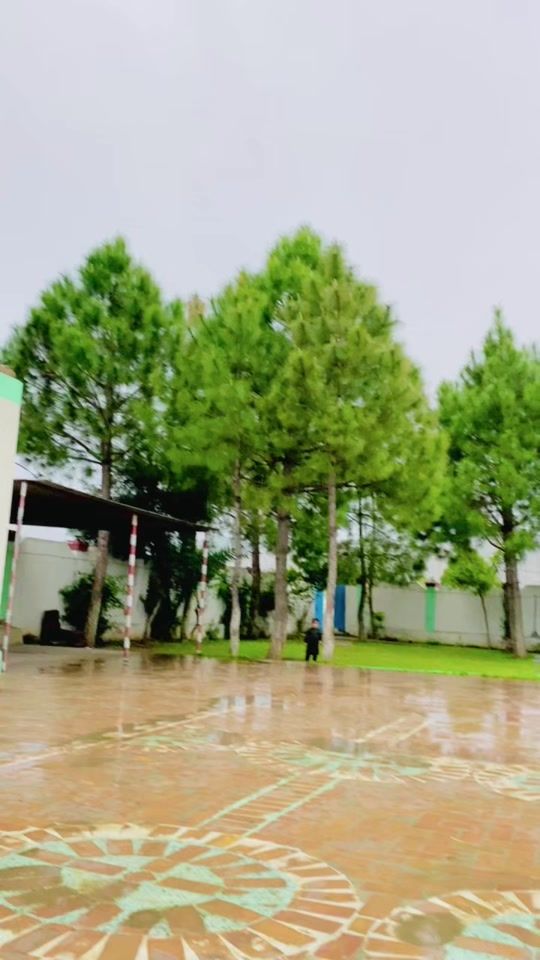 TikTok video thumbnail by abusaultan15