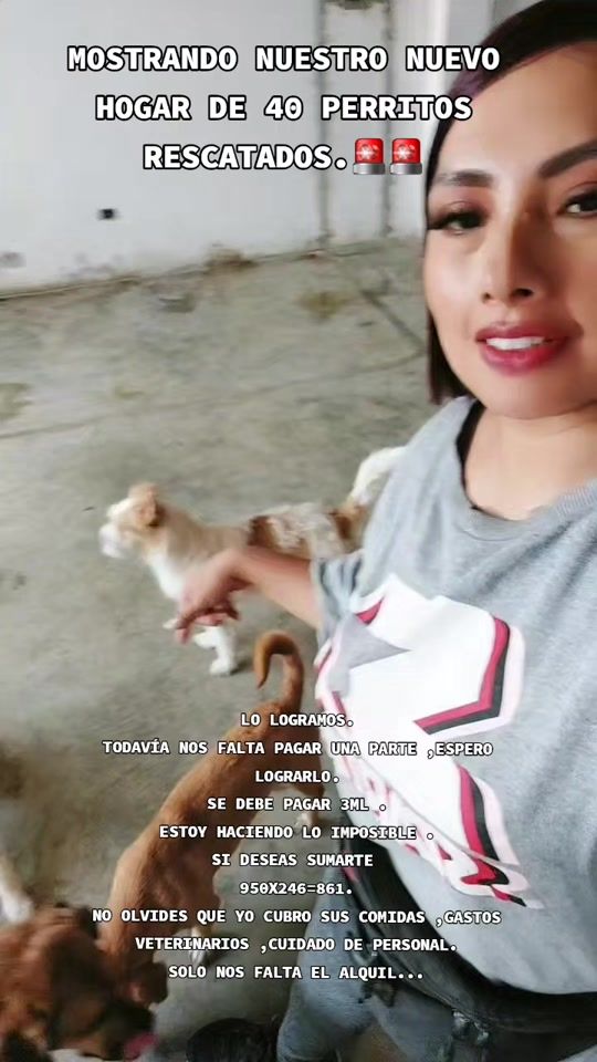 TikTok video thumbnail by katycitaarefugio3
