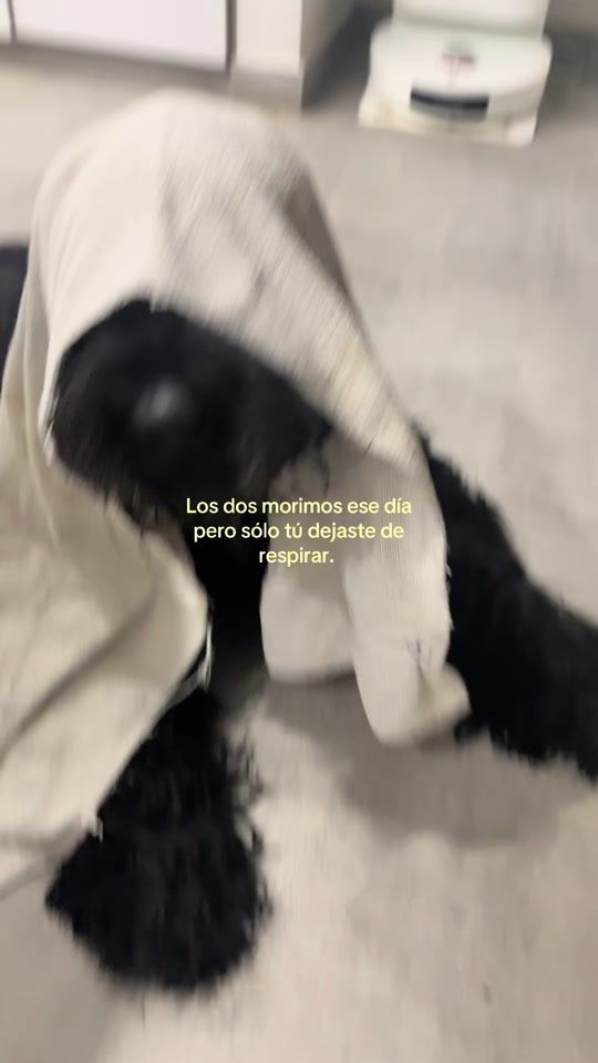 TikTok video thumbnail by _.sunflxz