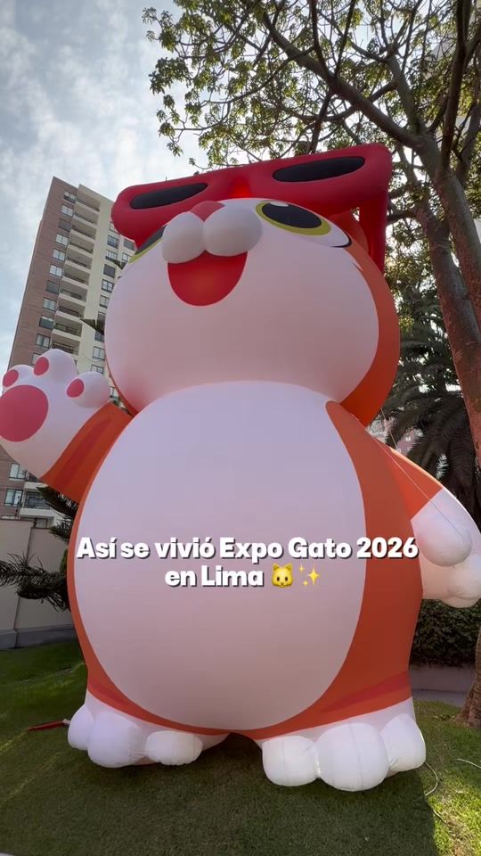 TikTok video thumbnail by lospointsdemari