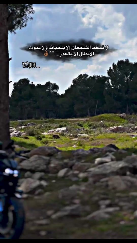 TikTok video thumbnail by yaqoq1