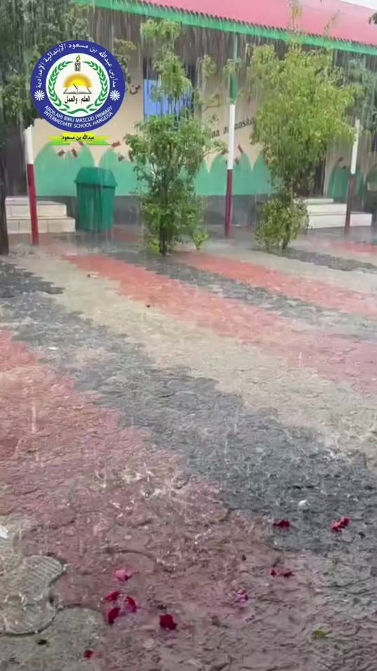 TikTok video thumbnail by 0.123.05