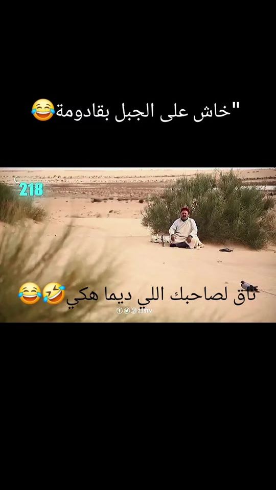 TikTok video thumbnail by mor2ad