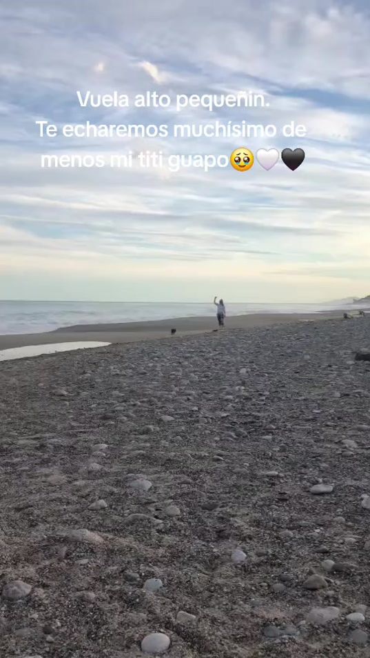 TikTok video thumbnail by sofia_san.tos.88