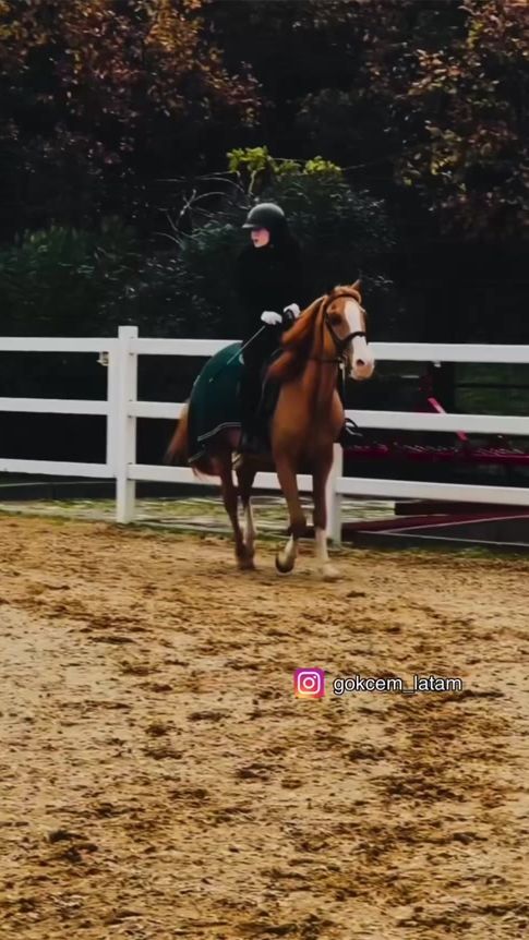 TikTok video thumbnail by gokcem_latam