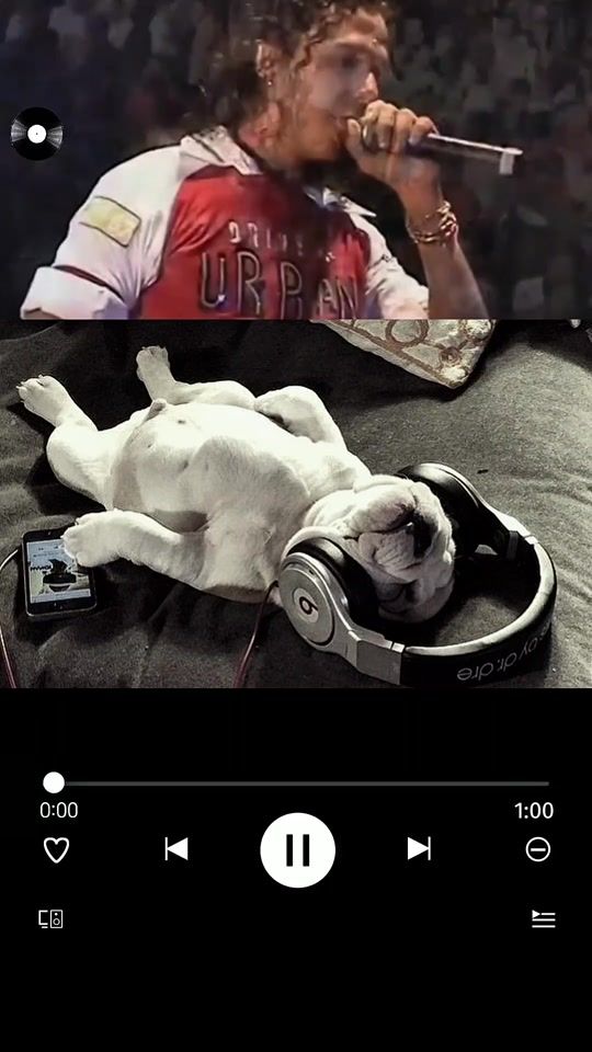 TikTok video thumbnail by melodiaeterna.ofc