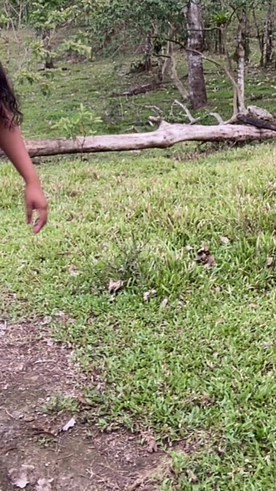 TikTok video thumbnail by tu.flaquita_15