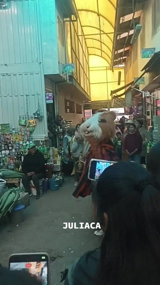 TikTok video thumbnail by joseernesth