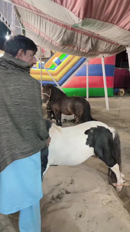 TikTok video thumbnail by outlofara075