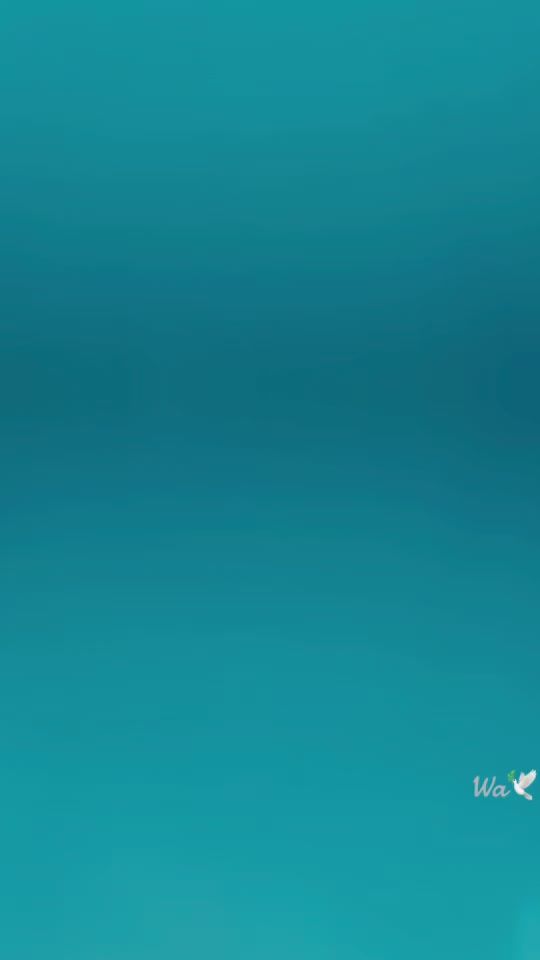 TikTok video thumbnail by wawa1528