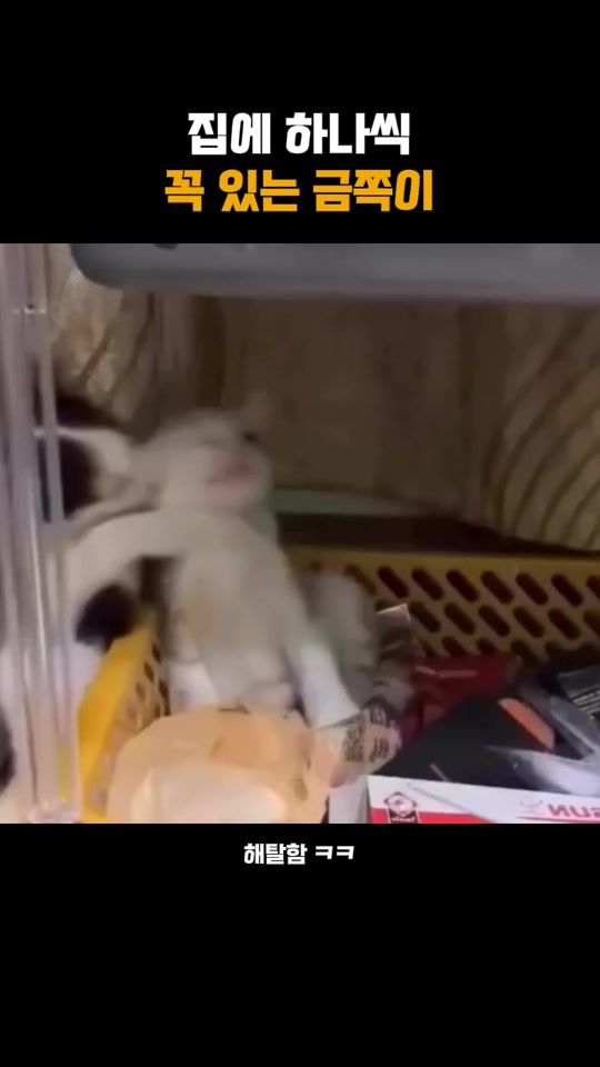 TikTok video thumbnail by shortsongyi