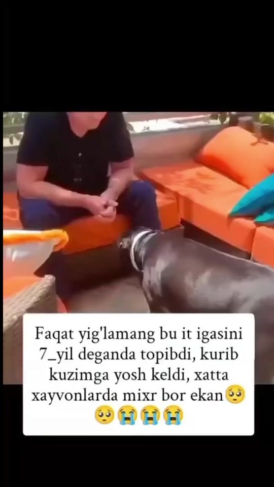 TikTok video thumbnail by ur.cristian.8