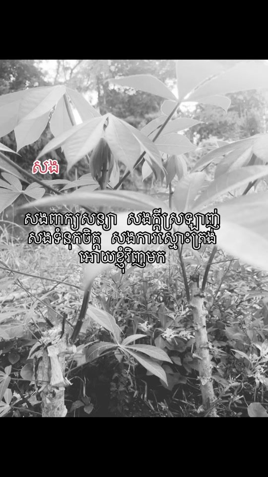 TikTok video thumbnail by purpel64