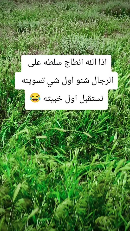 TikTok video thumbnail by z__3__z