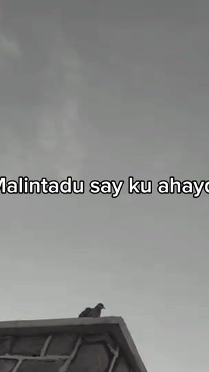 TikTok video thumbnail by saybilahi75