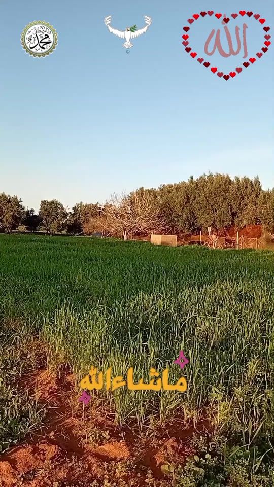TikTok video thumbnail by zaza._.97