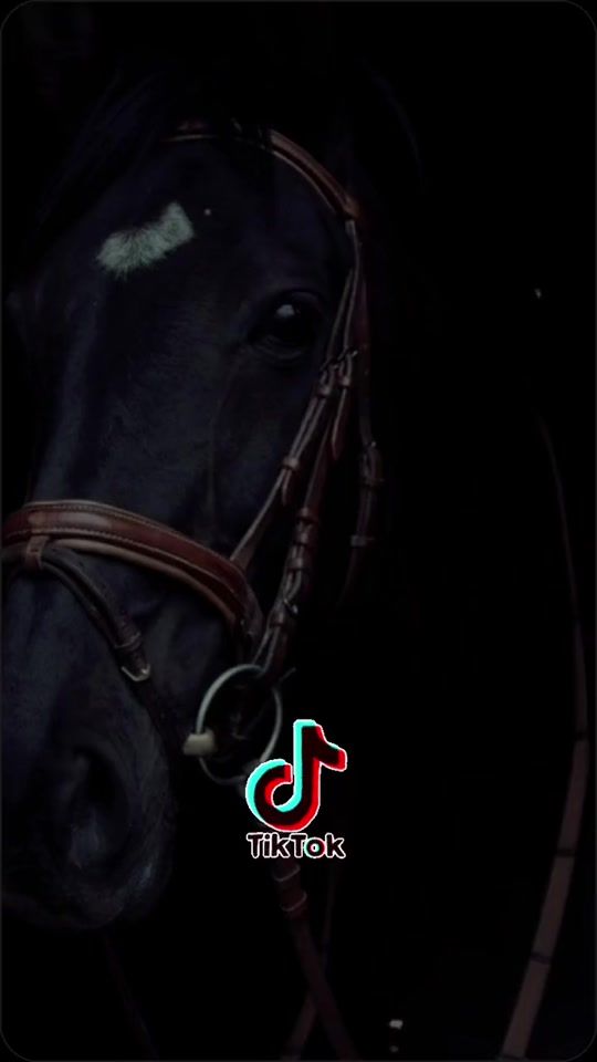 TikTok video thumbnail by status_vaquejada.ofc