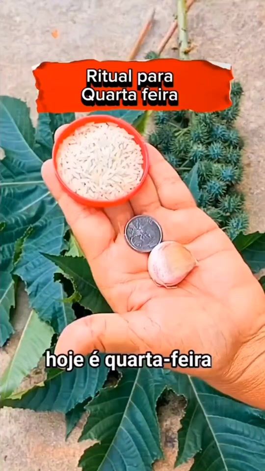 TikTok video thumbnail by floracultural