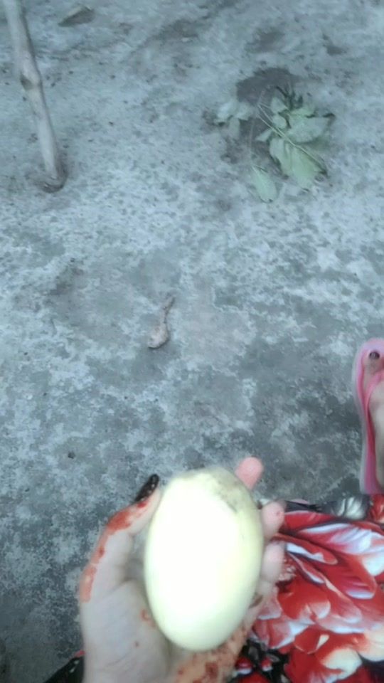 TikTok video thumbnail by srity6540