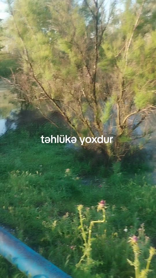 TikTok video thumbnail by faridyediyarov