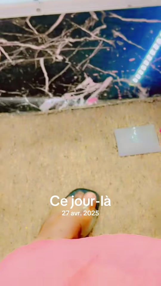 TikTok video thumbnail by mamitou81