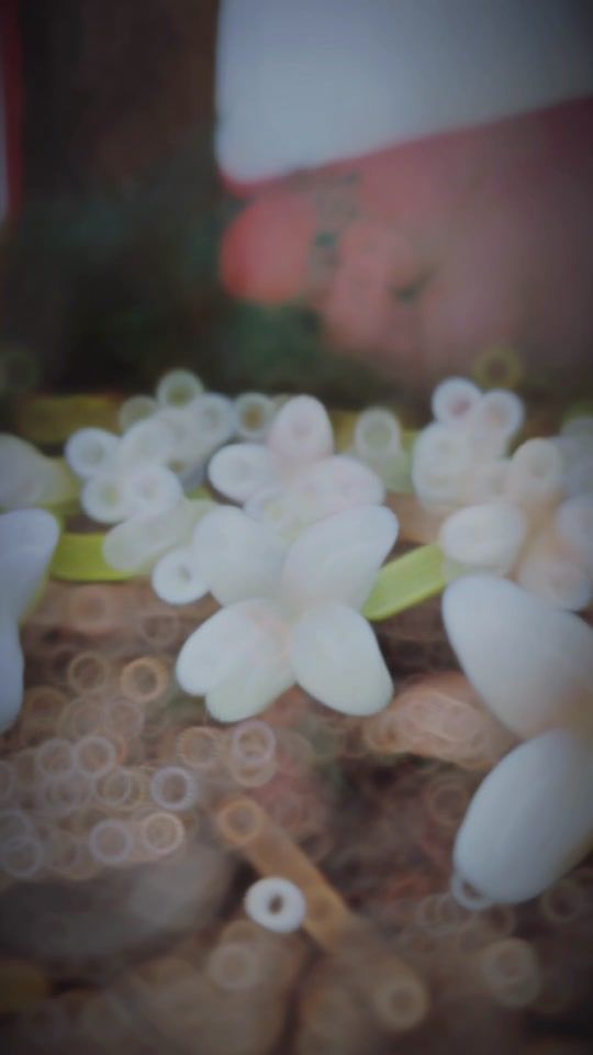 TikTok video thumbnail by user1075342284054