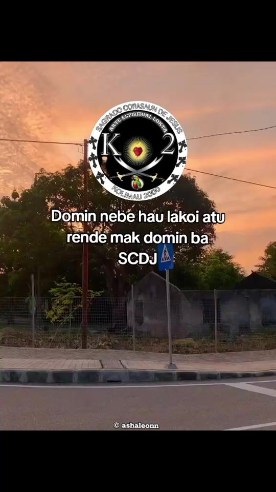 TikTok video thumbnail by ashaleon24