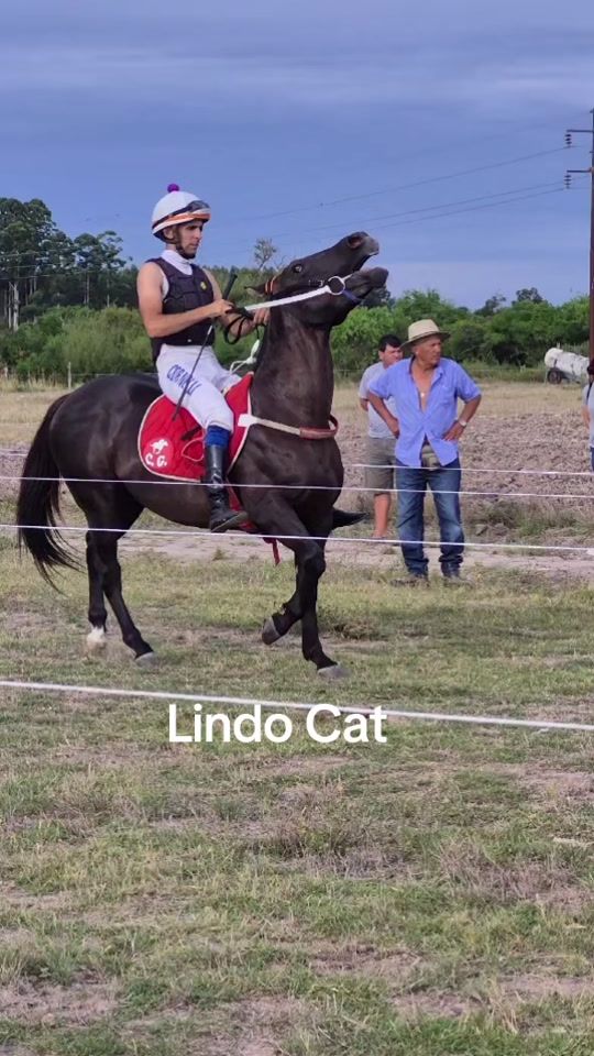 TikTok video thumbnail by ceciliaumpierrez