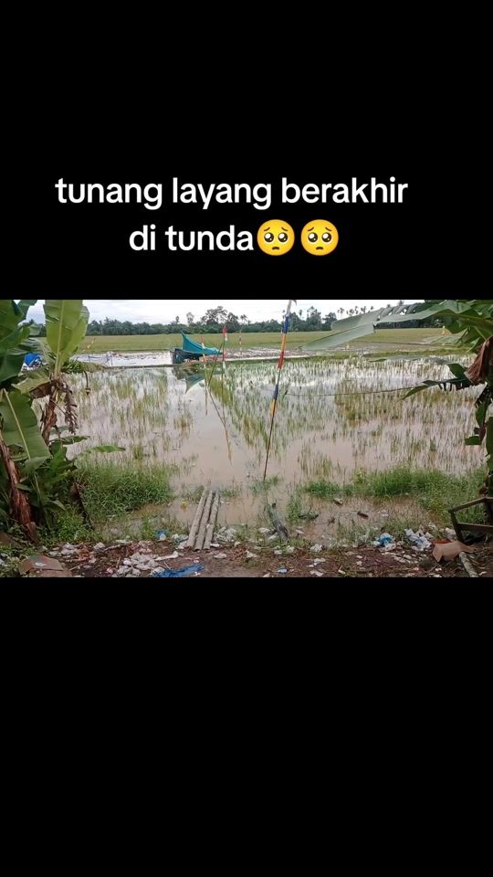 TikTok video thumbnail by store.wap