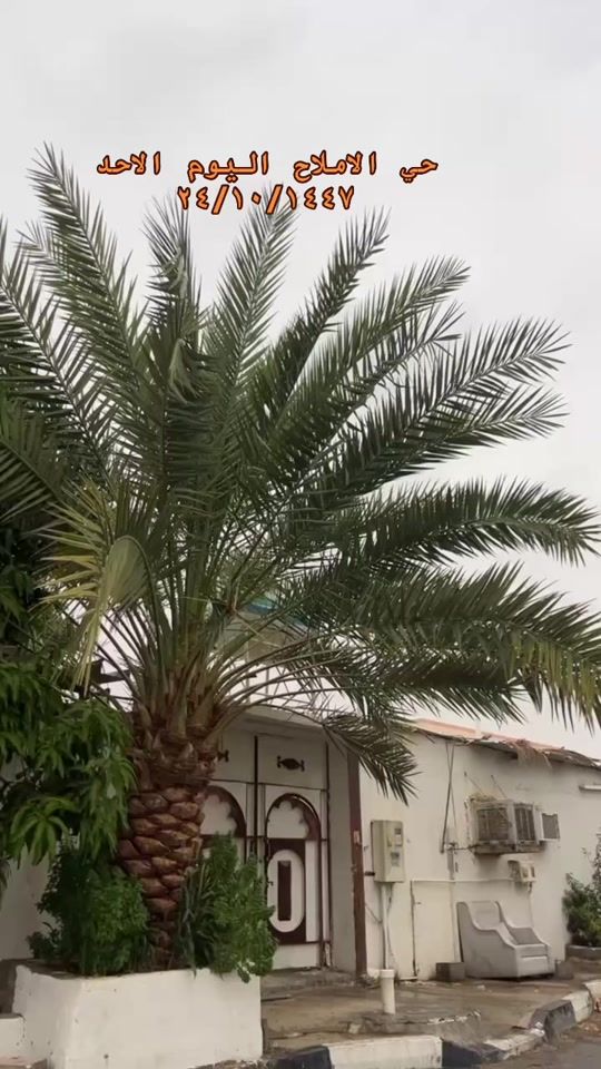 TikTok video thumbnail by kas0746