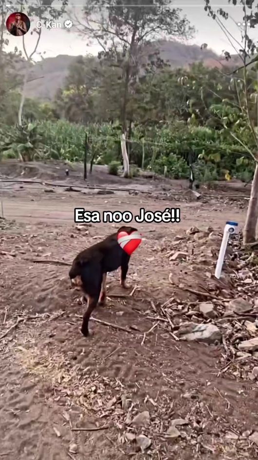 TikTok video thumbnail by ckan98_7