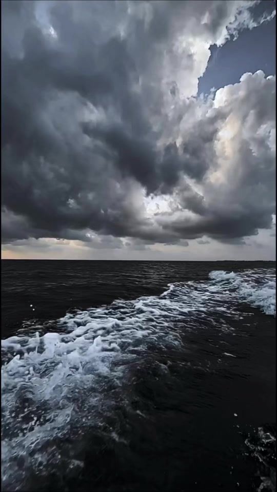 TikTok video thumbnail by diver_422
