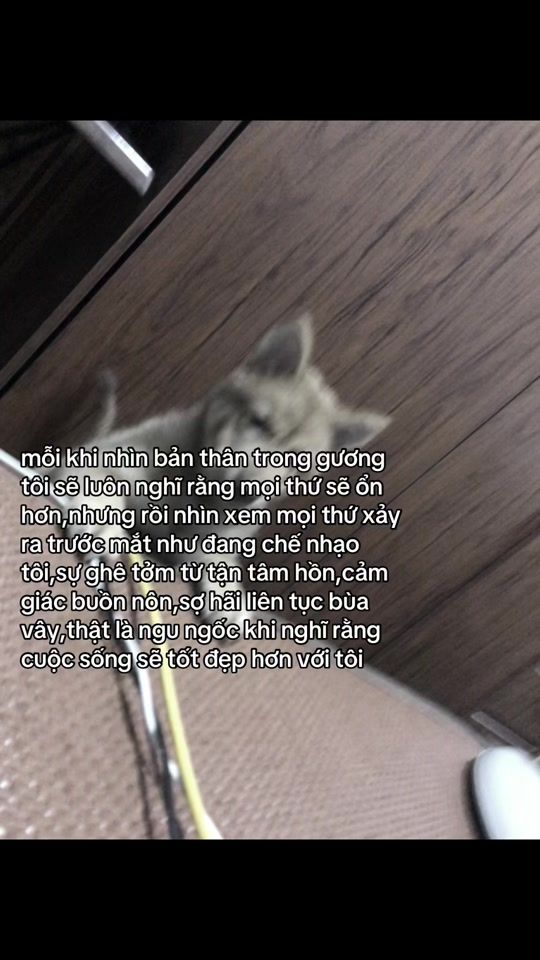 TikTok video thumbnail by skr1966