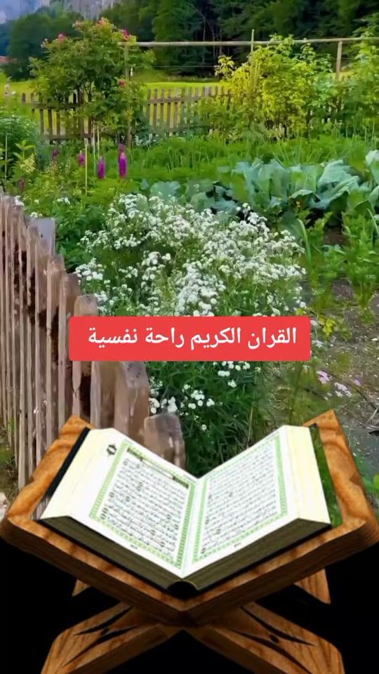 TikTok video thumbnail by reben_ali