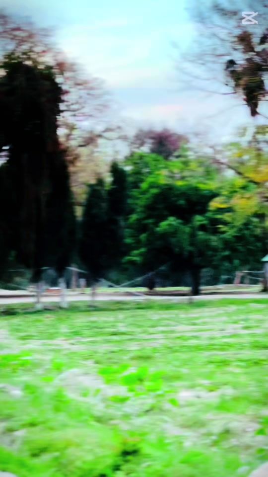 TikTok video thumbnail by hamayoun330