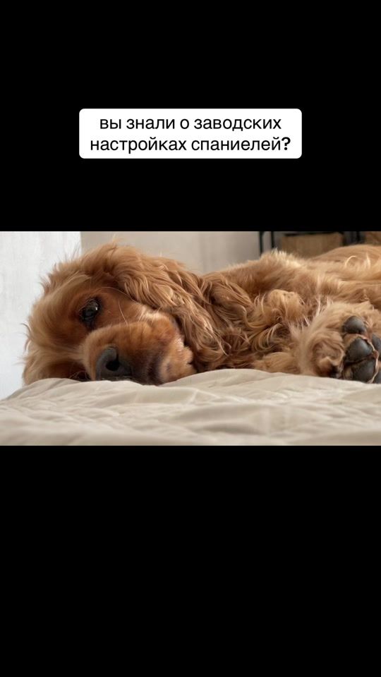 TikTok video thumbnail by ku4uk