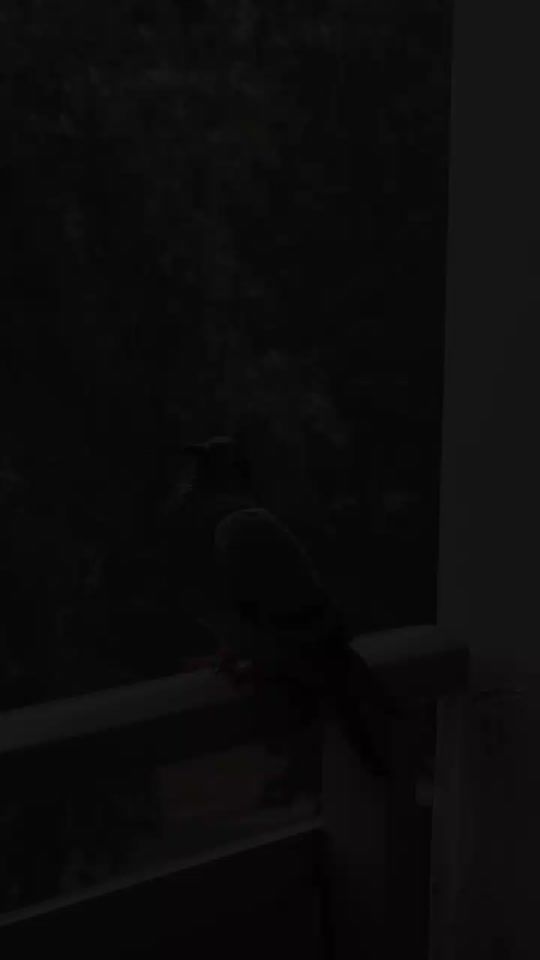 TikTok video thumbnail by gulll.beya