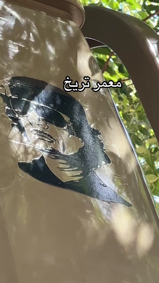 TikTok video thumbnail by .r.s.f38